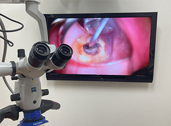 マイクロスコープ静止画・動画